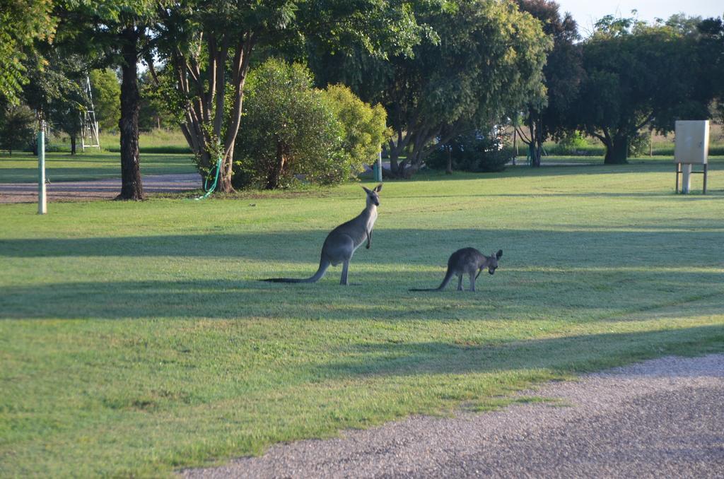 Pelican Rest Tourist Park Saint George Exterior foto